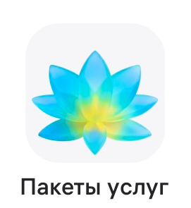 Пакеты услуг Wildberries